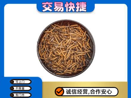 潮州礼品回收虫草.jpg