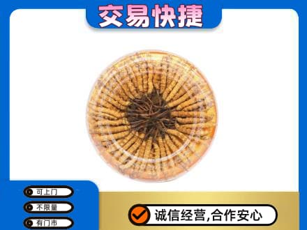 潮州礼品回收虫草礼盒.jpg